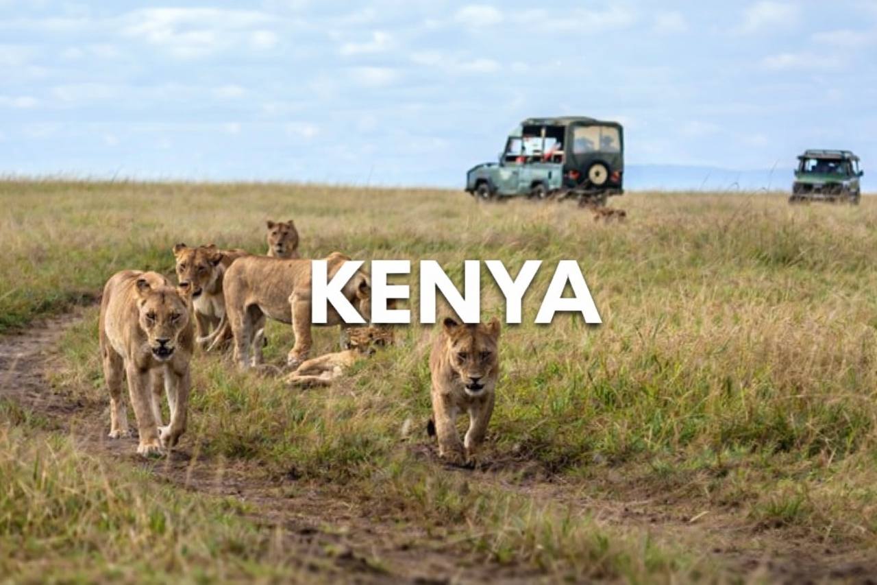 Read more about the article 👉 Cheap Flights to Kenya: Best Travel Guide 2026